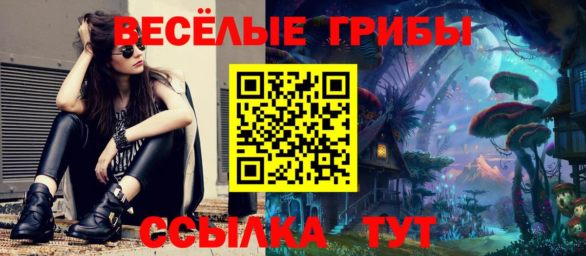 Армавир  Галлюциногенные грибы Psilocybine cubensis  Галлюциногенные грибы прущие грибы  Вход с VPN 